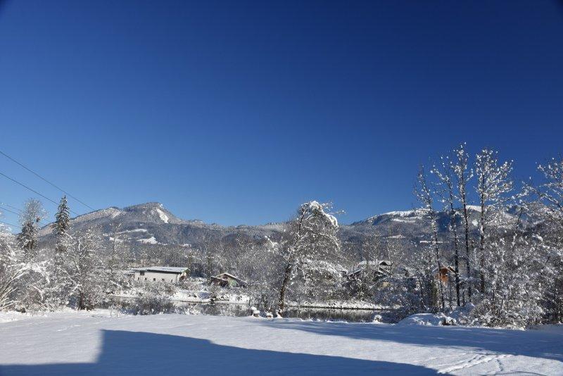 Landhaus Hallstatt Feeling - Apartment - Self Check-In Bad Goisern Εξωτερικό φωτογραφία